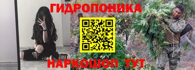 спиды Дубна
