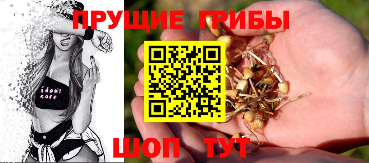 Псилоцибиновые грибы мухоморы Гудермес