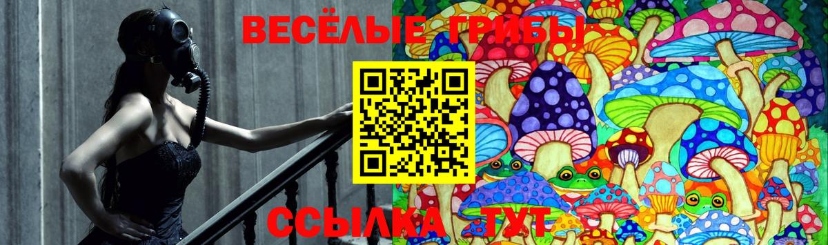 Гудермес  Галлюциногенные грибы GOLDEN TEACHER  Галлюциногенные грибы Psilocybine cubensis  Вход с VPN 